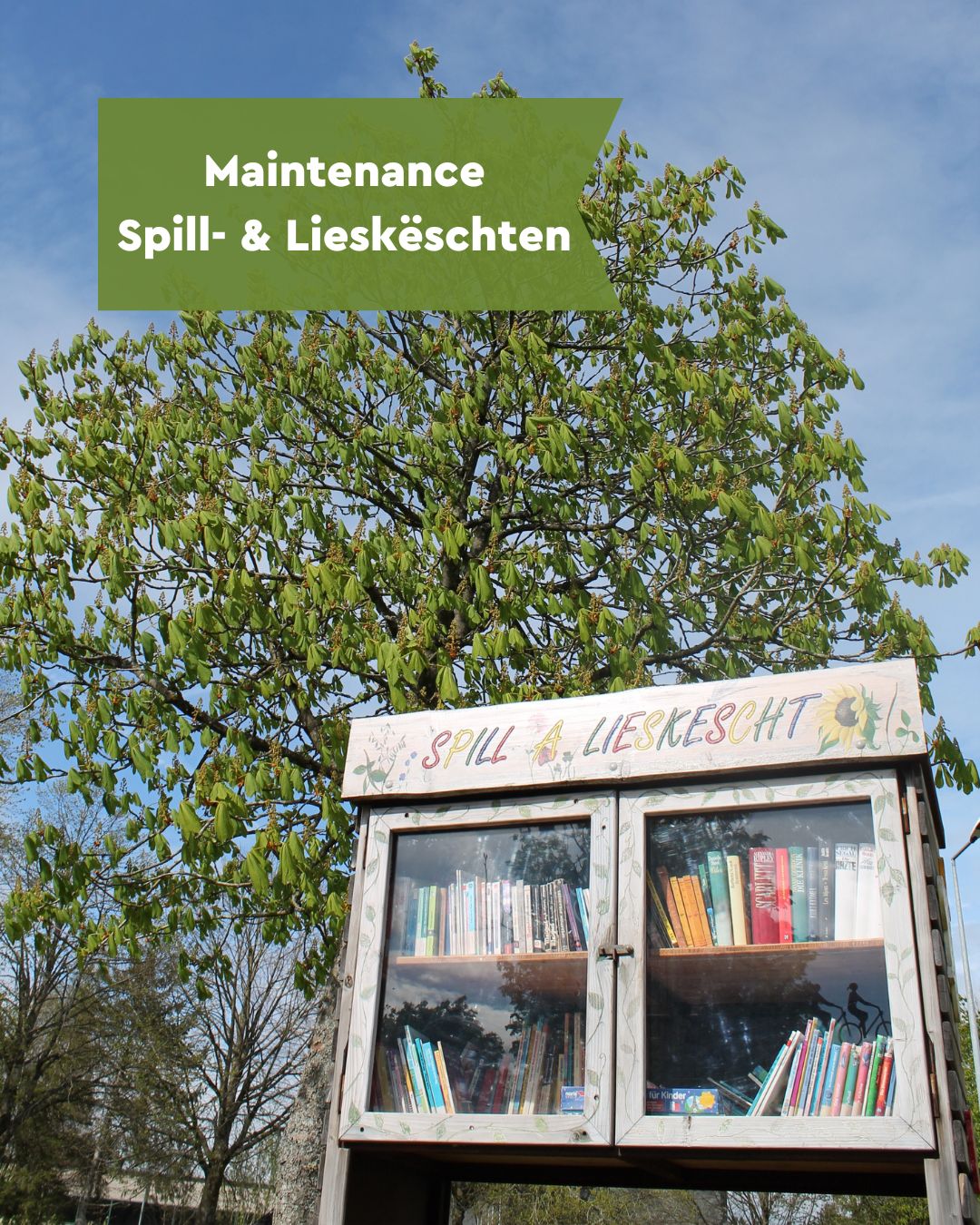 Insta Posts Gemeng Rammerich-3